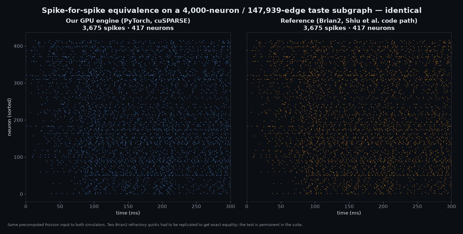 Figure 2. Engine validation. The torch LIF (ours) against Brian2 on a 4,000-neuron / 148k-edge subgraph: identical spike